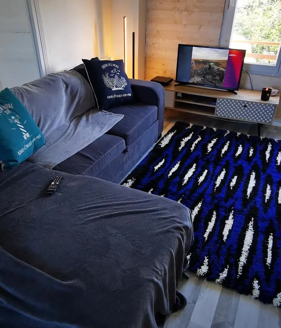 Large Studio With Sea View Binic Lejlighed