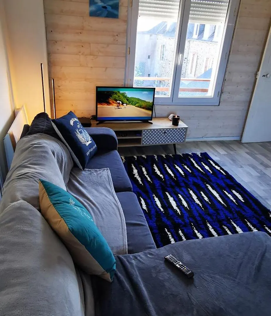 Large Studio With Sea View Binic